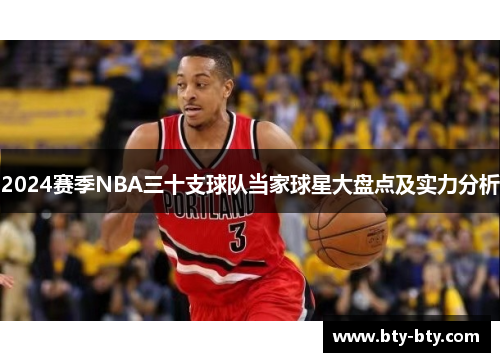 2024赛季NBA三十支球队当家球星大盘点及实力分析